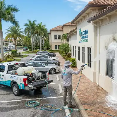 Commercial soft wash